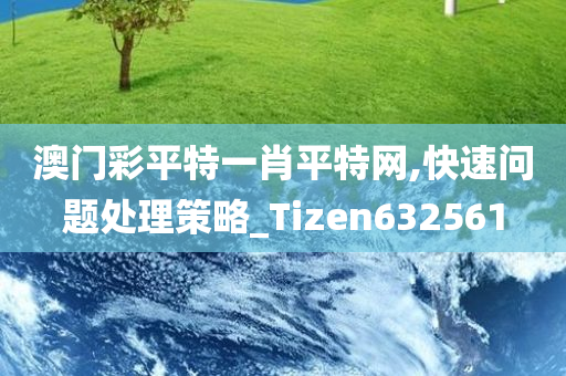 澳门彩平特一肖平特网,快速问题处理策略_Tizen632561