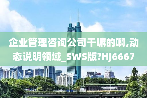 企业管理咨询公司干嘛的啊,动态说明领域_SWS版?HJ6667