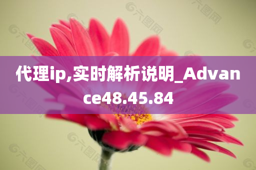 代理ip,实时解析说明_Advance48.45.84