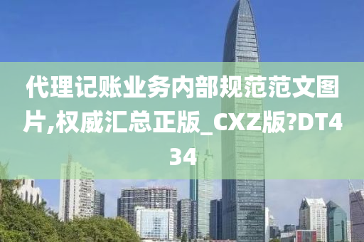 代理记账业务内部规范范文图片,权威汇总正版_CXZ版?DT434