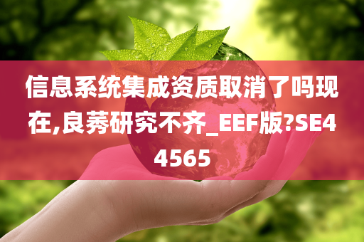 信息系统集成资质取消了吗现在,良莠研究不齐_EEF版?SE44565