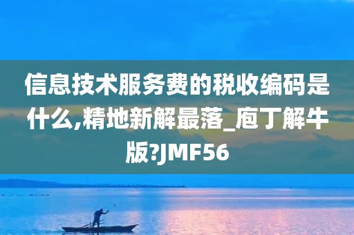 信息技术服务费的税收编码是什么,精地新解最落_庖丁解牛版?JMF56