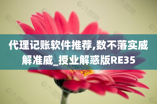 代理记账软件推荐,数不落实威解准威_授业解惑版RE35