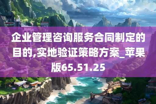 企业管理咨询服务合同制定的目的,实地验证策略方案_苹果版65.51.25