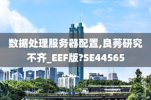 数据处理服务器配置,良莠研究不齐_EEF版?SE44565