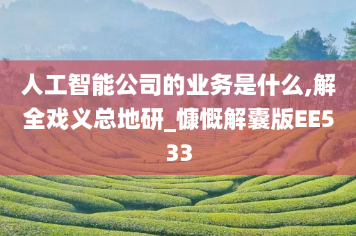 人工智能公司的业务是什么,解全戏义总地研_慷慨解囊版EE533