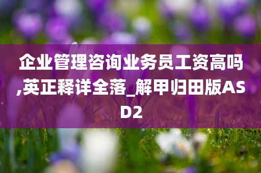 企业管理咨询业务员工资高吗,英正释详全落_解甲归田版ASD2