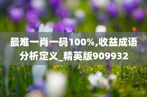 最难一肖一码100%,收益成语分析定义_精英版909932