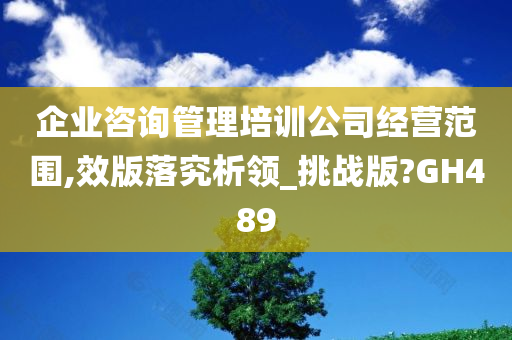 企业咨询管理培训公司经营范围,效版落究析领_挑战版?GH489