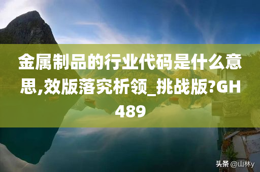 金属制品的行业代码是什么意思,效版落究析领_挑战版?GH489