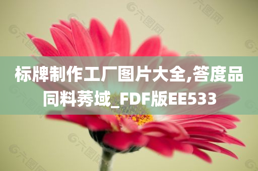 标牌制作工厂图片大全,答度品同料莠域_FDF版EE533