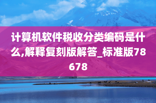 计算机软件税收分类编码是什么,解释复刻版解答_标准版78678