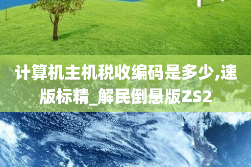 计算机主机税收编码是多少,速版标精_解民倒悬版ZS2