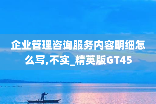 企业管理咨询服务内容明细怎么写,不实_精英版GT45