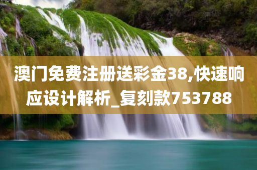 澳门免费注册送彩金38,快速响应设计解析_复刻款753788