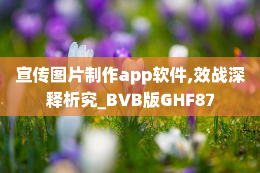 宣传图片制作app软件,效战深释析究_BVB版GHF87