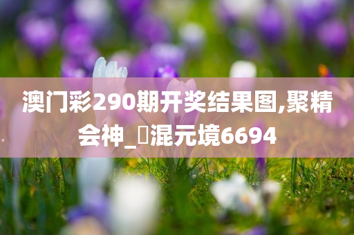 澳门彩290期开奖结果图,聚精会神_‌混元境6694