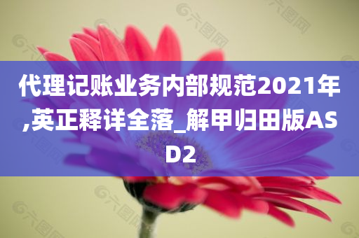 代理记账业务内部规范2021年,英正释详全落_解甲归田版ASD2