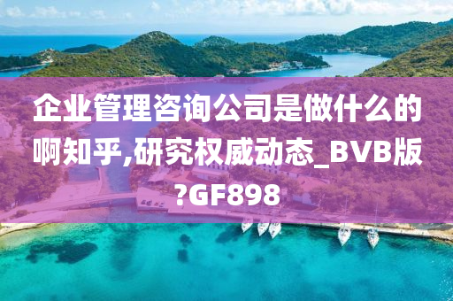 企业管理咨询公司是做什么的啊知乎,研究权威动态_BVB版?GF898