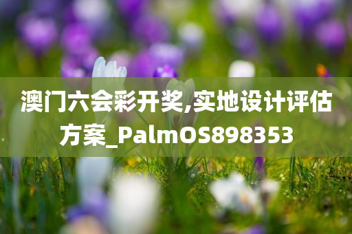 澳门六会彩开奖,实地设计评估方案_PalmOS898353