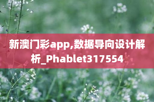 新澳门彩app,数据导向设计解析_Phablet317554