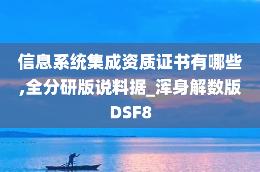 信息系统集成资质证书有哪些,全分研版说料据_浑身解数版DSF8