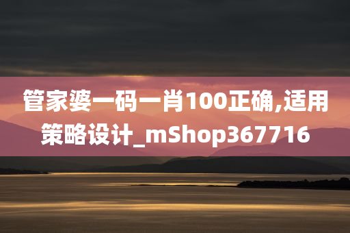 管家婆一码一肖100正确,适用策略设计_mShop367716