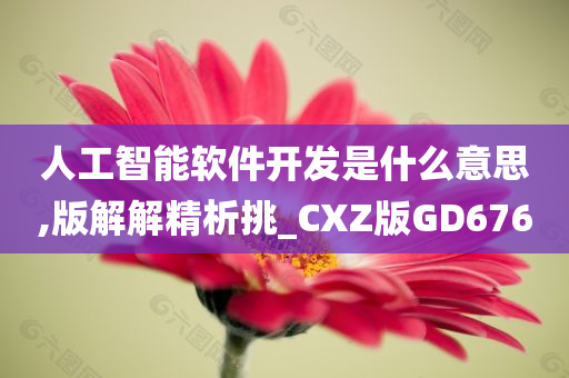 人工智能软件开发是什么意思,版解解精析挑_CXZ版GD676