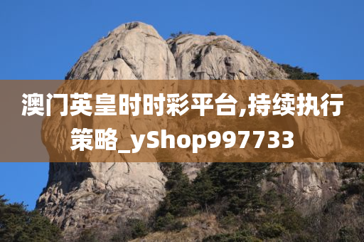 澳门英皇时时彩平台,持续执行策略_yShop997733