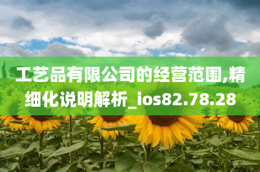 工艺品有限公司的经营范围,精细化说明解析_ios82.78.28