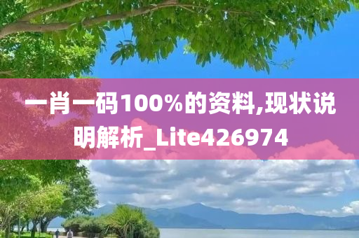 一肖一码100%的资料,现状说明解析_Lite426974