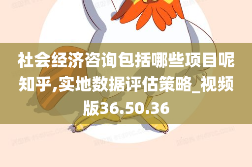 社会经济咨询包括哪些项目呢知乎,实地数据评估策略_视频版36.50.36