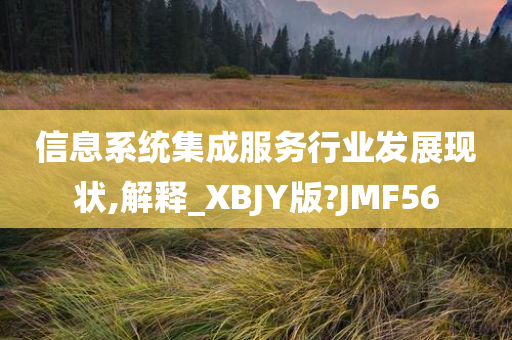 信息系统集成服务行业发展现状,解释_XBJY版?JMF56