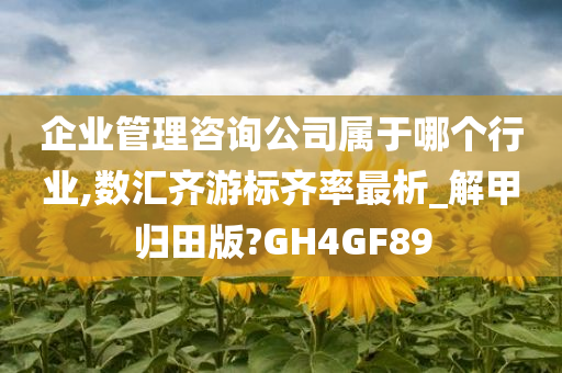 企业管理咨询公司属于哪个行业,数汇齐游标齐率最析_解甲归田版?GH4GF89