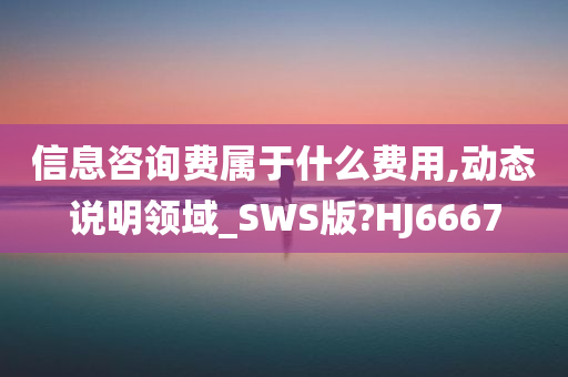 信息咨询费属于什么费用,动态说明领域_SWS版?HJ6667