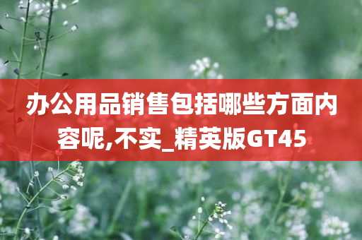 办公用品销售包括哪些方面内容呢,不实_精英版GT45