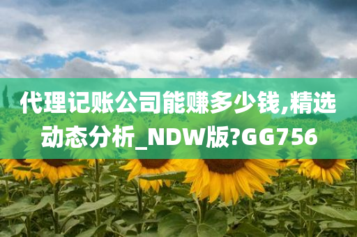 代理记账公司能赚多少钱,精选动态分析_NDW版?GG756