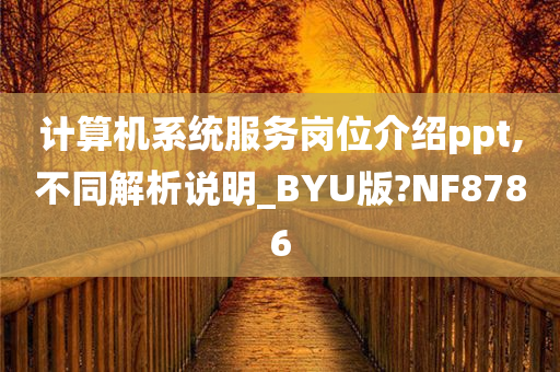 计算机系统服务岗位介绍ppt,不同解析说明_BYU版?NF8786