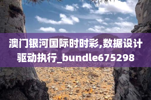 澳门银河国际时时彩,数据设计驱动执行_bundle675298