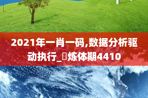 2021年一肖一码,数据分析驱动执行_‌炼体期4410