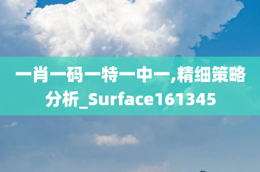 一肖一码一特一中一,精细策略分析_Surface161345