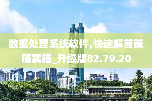 数据处理系统软件,快速解答策略实施_升级版82.79.20