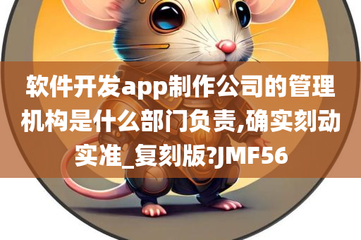 软件开发app制作公司的管理机构是什么部门负责,确实刻动实准_复刻版?JMF56