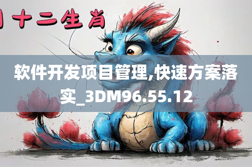 软件开发项目管理,快速方案落实_3DM96.55.12