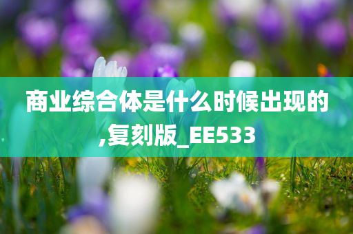 商业综合体是什么时候出现的,复刻版_EE533