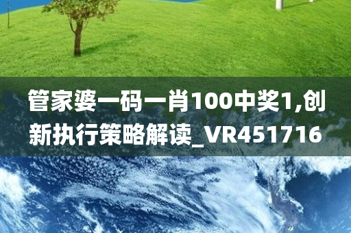 管家婆一码一肖100中奖1,创新执行策略解读_VR451716