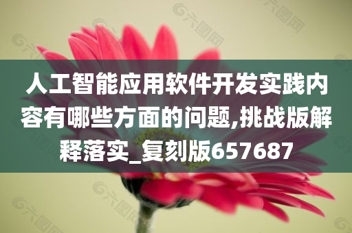 人工智能应用软件开发实践内容有哪些方面的问题,挑战版解释落实_复刻版657687