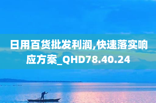 日用百货批发利润,快速落实响应方案_QHD78.40.24