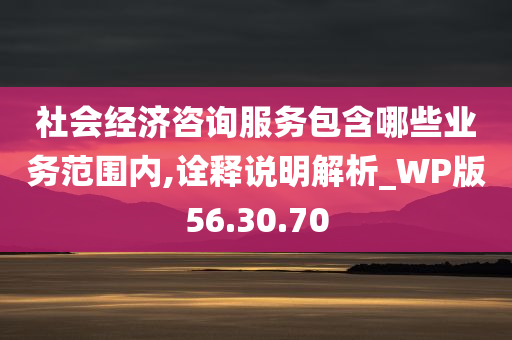 社会经济咨询服务包含哪些业务范围内,诠释说明解析_WP版56.30.70