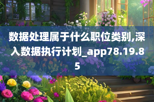 数据处理属于什么职位类别,深入数据执行计划_app78.19.85